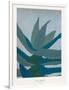 Aloe Ferox-Annika John-Framed Giclee Print