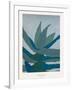 Aloe Ferox-Annika John-Framed Giclee Print