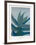 Aloe Ferox-Annika John-Framed Giclee Print