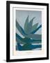 Aloe Ferox-Annika John-Framed Giclee Print