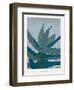 Aloe Ferox-Annika John-Framed Giclee Print