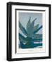 Aloe Ferox-Annika John-Framed Giclee Print