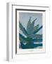 Aloe Ferox-Annika John-Framed Giclee Print