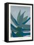 Aloe Ferox-Annika John-Framed Stretched Canvas