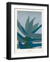 Aloe Ferox-Annika John-Framed Giclee Print