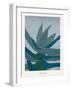 Aloe Ferox-Annika John-Framed Giclee Print