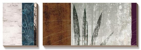 Aloe Garden I-Noah Li-Leger-Stretched Canvas