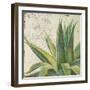 Aloe I-Patricia Pinto-Framed Art Print