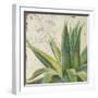 Aloe I-Patricia Pinto-Framed Art Print