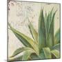 Aloe I-Patricia Pinto-Mounted Art Print