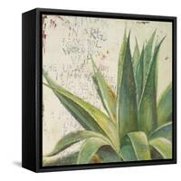Aloe I-Patricia Pinto-Framed Stretched Canvas