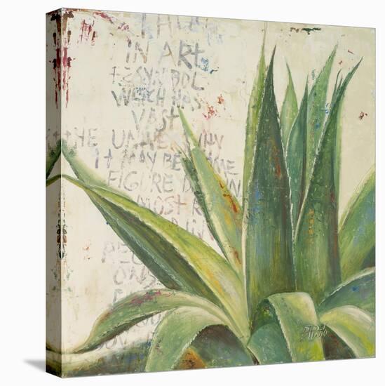 Aloe I-Patricia Pinto-Stretched Canvas