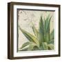 Aloe I-Patricia Pinto-Framed Art Print