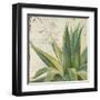 Aloe I-Patricia Pinto-Framed Art Print