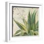 Aloe I-Patricia Pinto-Framed Art Print