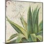 Aloe I-Patricia Pinto-Mounted Art Print