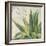 Aloe I-Patricia Pinto-Framed Premium Giclee Print