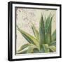 Aloe I-Patricia Pinto-Framed Premium Giclee Print