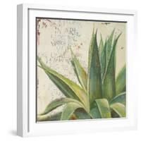 Aloe I-Patricia Pinto-Framed Premium Giclee Print