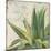 Aloe I-Patricia Pinto-Mounted Premium Giclee Print