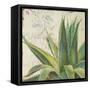 Aloe I-Patricia Pinto-Framed Stretched Canvas