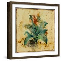 Aloe II-Hollack-Framed Giclee Print