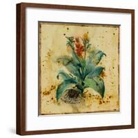 Aloe II-Hollack-Framed Giclee Print