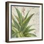 Aloe II-Patricia Pinto-Framed Art Print