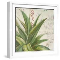 Aloe II-Patricia Pinto-Framed Art Print