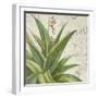 Aloe II-Patricia Pinto-Framed Art Print