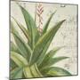 Aloe II-Patricia Pinto-Mounted Art Print