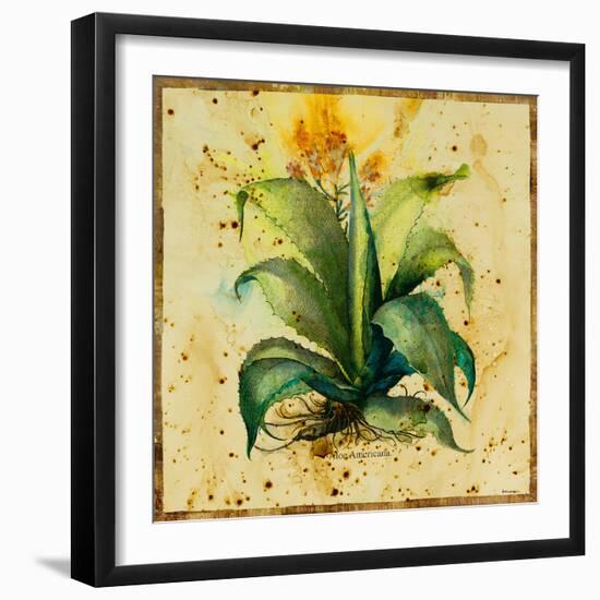 Aloe IV-Hollack-Framed Giclee Print