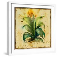 Aloe IV-Hollack-Framed Giclee Print