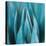 Aloe Moon-Dan Meneely-Stretched Canvas