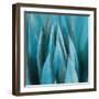 Aloe Moon-Dan Meneely-Framed Art Print