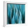 Aloe Moon-Dan Meneely-Framed Art Print
