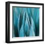 Aloe Moon-Dan Meneely-Framed Art Print