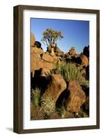 Aloe Tree and Boulders Individual-null-Framed Photographic Print