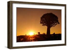 Aloe Tree Forest Individual-null-Framed Photographic Print