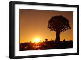Aloe Tree Forest Individual-null-Framed Photographic Print
