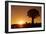 Aloe Tree Forest Individual-null-Framed Photographic Print