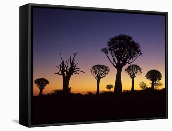 Aloe Trees Forest Silhouettes-null-Framed Stretched Canvas