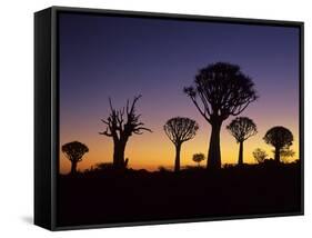 Aloe Trees Forest Silhouettes-null-Framed Stretched Canvas