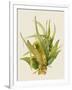 Aloe Vera I-Maya Woods-Framed Art Print