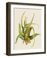 Aloe Vera II-Maya Woods-Framed Art Print