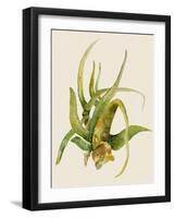 Aloe Vera II-Maya Woods-Framed Art Print