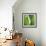 Aloe Vera Leaves-Alexander Feig-Framed Photographic Print displayed on a wall