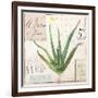 Aloe Vera…Sketchbook-Angela Staehling-Framed Art Print