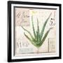 Aloe Vera…Sketchbook-Angela Staehling-Framed Art Print