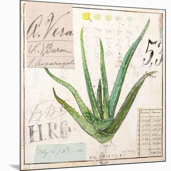 Aloe Vera…Sketchbook-Angela Staehling-Mounted Art Print